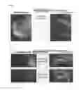 Fig. 07 - Transgenic animal for visualization of ATP and use thereof