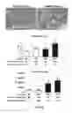 Fig. 03 - Compositions and methods for reducing the risk of post-imaging pancreatitis