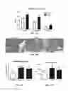Fig. 08 - Compositions and methods for reducing the risk of post-imaging pancreatitis