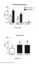 Fig. 09 - Compositions and methods for reducing the risk of post-imaging pancreatitis
