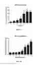 Fig. 15 - Compositions and methods for reducing the risk of post-imaging pancreatitis