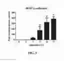 Fig. 17 - Compositions and methods for reducing the risk of post-imaging pancreatitis