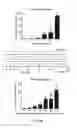 Fig. 20 - Compositions and methods for reducing the risk of post-imaging pancreatitis