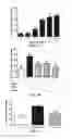 Fig. 33 - Compositions and methods for reducing the risk of post-imaging pancreatitis