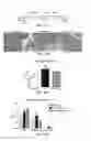 Fig. 44 - Compositions and methods for reducing the risk of post-imaging pancreatitis