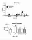 Fig. 67 - Compositions and methods for reducing the risk of post-imaging pancreatitis