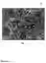 Fig. 02 - Mesoporous surface for enhanced bone integration