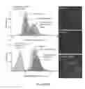 Fig. 49 - Tubular tissue construct and a method of printing