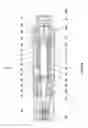 Fig. 07 - Medicament delivery device having gas propellant