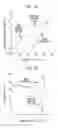 Fig. 05 - OBJECTIVE DETERMINATION OF ACOUSTIC PRESCRIPTIONS