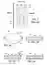 Fig. 02 - COCHLEAR IMPLANTS HAVING MRI-COMPATIBLE MAGNET APPARATUS AND ASSOCIATED METHODS