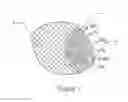 Fig. 02 - Oxygen-providing material with the function of skin whitening