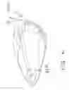 Fig. 43 - Multi-material golf club head