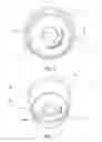 Fig. 04 - SPINNER BALL GAME APPARATUS AND METHOD