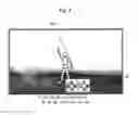 Fig. 06 - Video game processing apparatus and video game processing program
