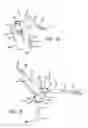 Fig. 49 - Animation puppet
