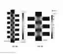 Fig. 07 - High-throughput selective capture of biological cells by dielectrophoresis at a bipolar electrode array