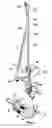 Fig. 03 - Drill attachment having an adapter component