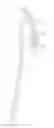 Fig. 01 - Shaver With Roller