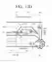 Fig. 25 - Stapling apparatus and image forming apparatus including the same