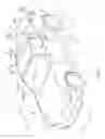 Fig. 02 - Trim structure of vehicle