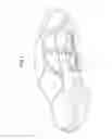 Fig. 02 - Display device