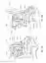Fig. 18 - Dampening driver airbag assemblies and related systems and methods