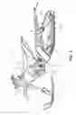 Fig. 02 - Snow bike track assembly