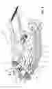 Fig. 04 - Snow bike track assembly