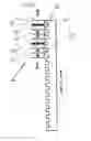 Fig. 01 - Electric linear motor
