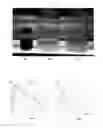 Fig. 06 - Method of treating spent caustic and apparatus thereof