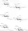 Fig. 33 - Thiosaccharide mucolytic agents