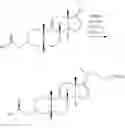 Fig. 08 - Methods for preparing deoxycholic acid