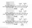 Fig. 01 - Anti-microbial supramolecular structures