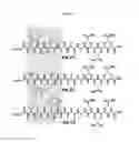 Fig. 02 - Anti-microbial supramolecular structures