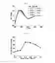 Fig. 06 - Anti-microbial supramolecular structures