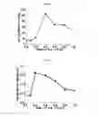 Fig. 07 - Anti-microbial supramolecular structures