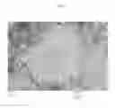 Fig. 22 - Cell-directed synthesis of multifunctional nanopatterns and nanomaterials