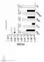 Fig. 04 - Cyclic, amyloid beta-binding peptides and the use thereof