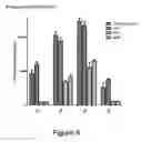 Fig. 09 - Identification of immunogenic MHC class II peptides for immune-based therapy