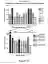 Fig. 14 - Identification of immunogenic MHC class II peptides for immune-based therapy