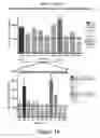 Fig. 15 - Identification of immunogenic MHC class II peptides for immune-based therapy