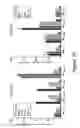 Fig. 17 - Identification of immunogenic MHC class II peptides for immune-based therapy