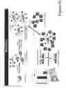Fig. 20 - Identification of immunogenic MHC class II peptides for immune-based therapy