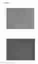 Fig. 06 - RECOMBINANT SOLUBLE HUMAN TISSUE FACTOR, METHOD OF ITS PRODUCTION AND USES THEREOF
