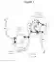 Fig. 02 - DKK1 antibodies and methods of use
