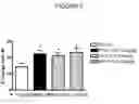Fig. 06 - DKK1 antibodies and methods of use