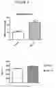 Fig. 07 - DKK1 antibodies and methods of use