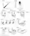 Fig. 05 - MODULATORS OF ACTIVIN AND METHODS FOR MODULATING IMMUNE RESPONSES AND T FOLLICULAR HELPER CELLS