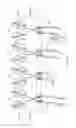 Fig. 06 - NUCLEIC ACID CONSTRUCT FOR EXPRESSING MORE THAN ONE CHIMERIC ANTIGEN RECEPTOR